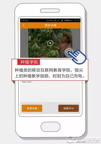 农财宝什么问题?新农村农业种植专家