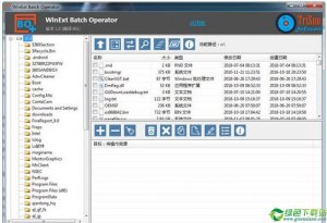 WinExt Batch Operator(文件批量操作系统) V1.0试用版