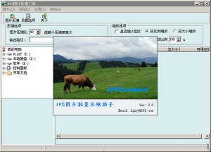 JPG图片压缩器绿色免费