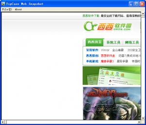 网页转图片(TipCase Web Snapshot)