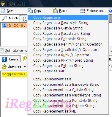 正则表达式工具RegexBuddy用图文课程