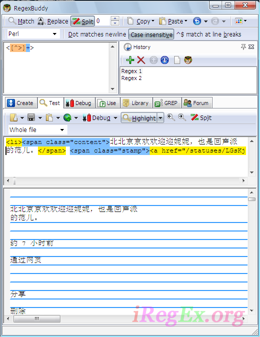 正则表达式工具RegexBuddy用图文课程