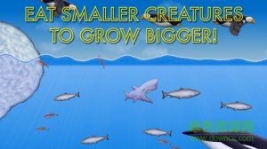 美味深蓝鲨鱼模式v2.0.0 Android版