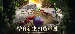 小小蚁国国际服v3.63.3 Android版
