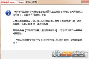 天琴中文输入法
