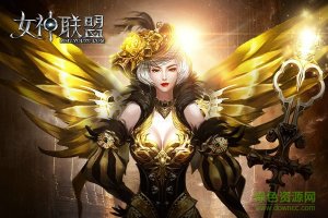 新浪女神网盟多功能辅助工具v2.2.3 官方网