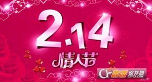 2017情人节活动策划方案