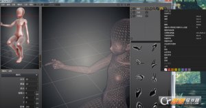 DesignDoll4.0.09汉化最新版