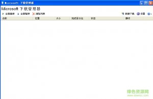 Microsoft下载管理器