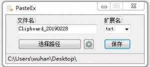 pasteex(剪贴板转存文件工具) v1.0.1.5 绿色纯