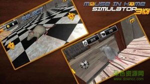 猫鼠之战 v4.4 Android版