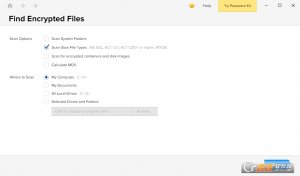 Passware Encryption Analyzer 2018