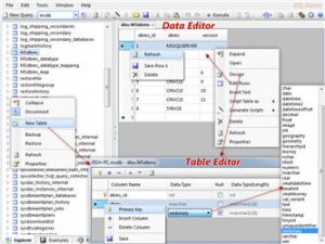 database.net(多数据库管理工具) v34.5.8227 多