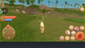 动物模拟打猎免广告版本 v1.0.3