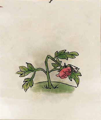 侠客风云传花卉如何养 照顾花卉的方法