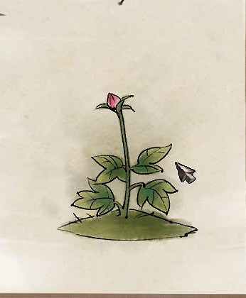 侠客风云传花卉如何养 照顾花卉的方法