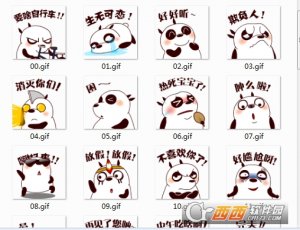 熊小贱系列表情gif