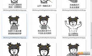 lol诗人表情包