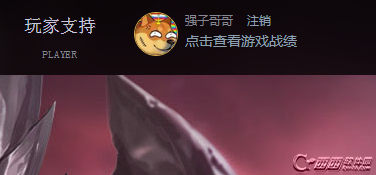 王者荣耀官方网站如何查战绩 王者荣耀官方网站查战绩办法