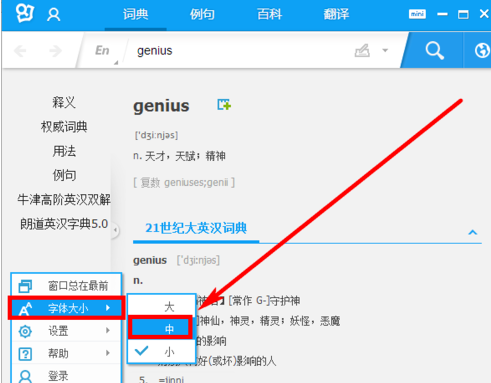 有道词典怎么样设置界面字体大小 有道词典如何设置取词开关快捷键