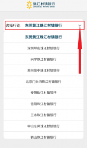 珠江村镇银行App v5.1.5